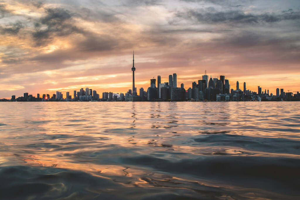 Finding Kittens in the Greater Toronto Area - A Local's Guide